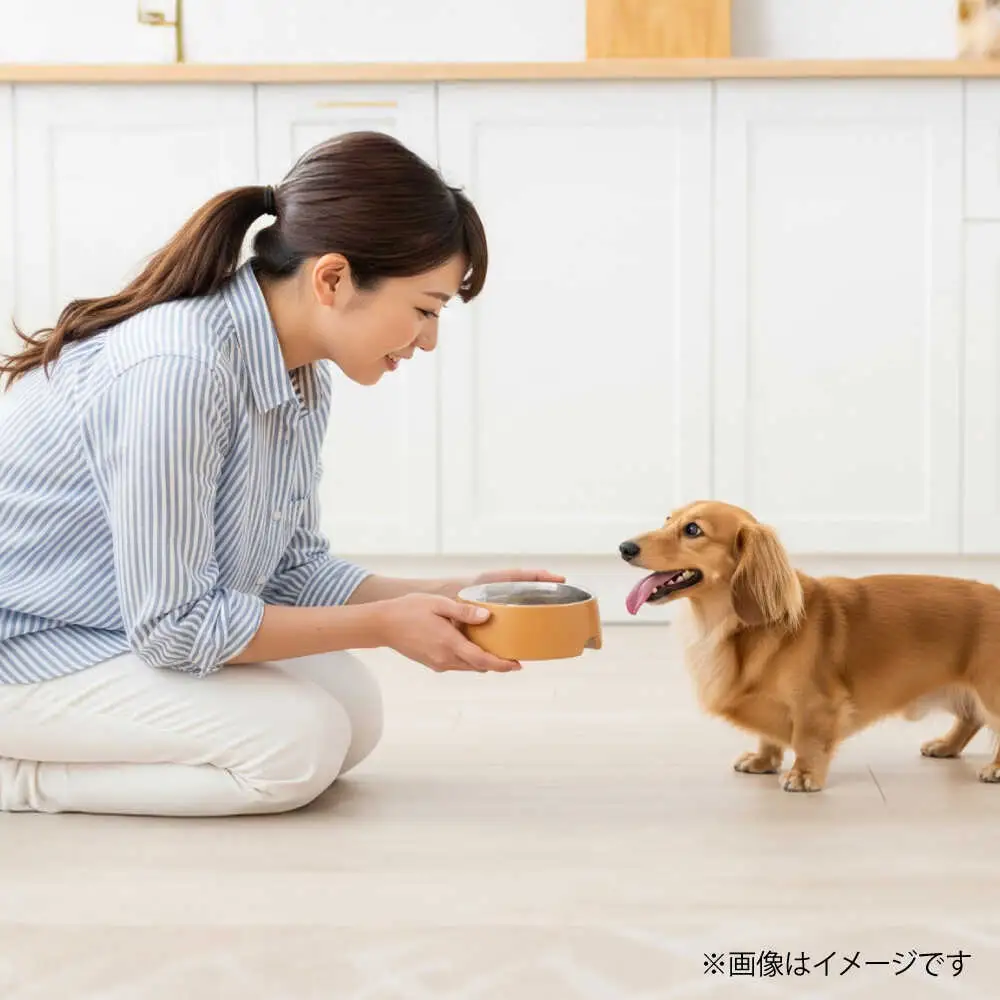 【全3回定期便】国内加工 ペット用 馬肉 切り落とし 約2kg ペット用 BHCY058