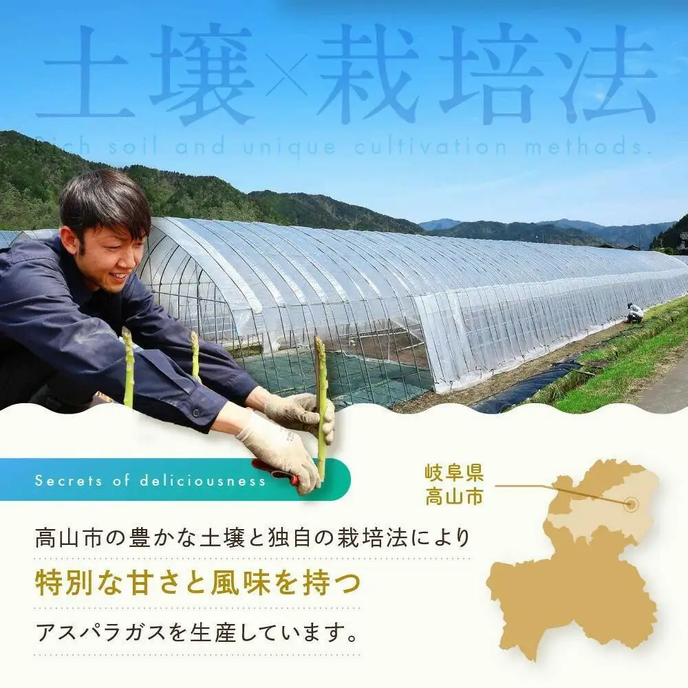 【2026年発送】ひだっこアスパラガス1.5kg |  産地直送 春 夏野菜 アスパラガス CM004VC01