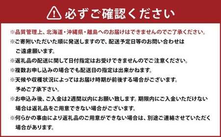 【3回定期便】あまおう 3パック 計約750～810g  ×3回 あまおう いちご イチゴ 苺 果物 くだもの フルーツ 定期便【2027年2月上旬～4月下旬発送予定】