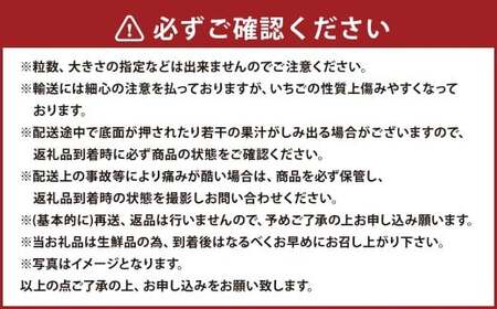 あまおうボリュームセット 6パック 計約1500～1620g あまおう いちご イチゴ 苺 果物 くだもの フルーツ【2027年2月上旬～4月下旬発送予定】
