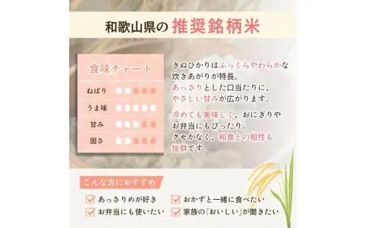 和歌山県産 キヌヒカリ 2kg（2026年産） / お米 きぬひかり 白米 由良町 令和8年 人気 おすすめ ※2026年9月上旬より順次発送予定【sml400-kinu-2A】