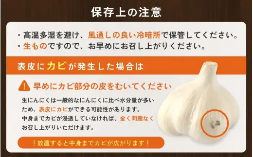 にんにく 秀品　由良の生にんにく 1kg / ニンニク 生ニンニク ガーリック ※2027年4月下旬より順次発送【ksnw004】 