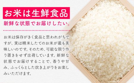 【3ヶ月定期便】夢つくし 令和7年産 米 10kg 白米《お申込み月の翌月から出荷開始》 福岡県 小竹町 お米 白米 国産
