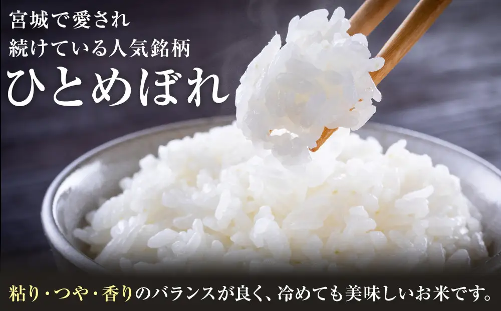 【9回定期便】宮城県産ひとめぼれ【無洗米】　5kg×1袋