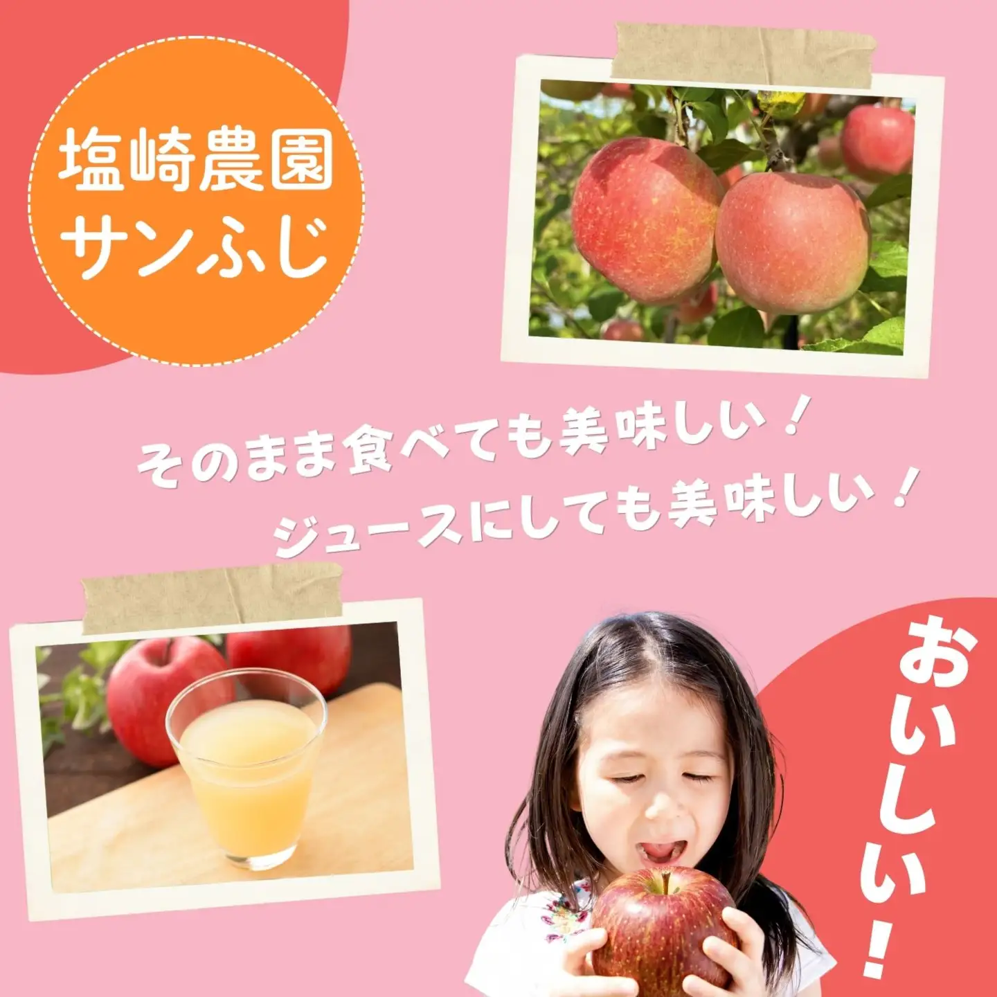 【先行予約】サンふじ 小玉【約5kg(20?25玉)】りんご