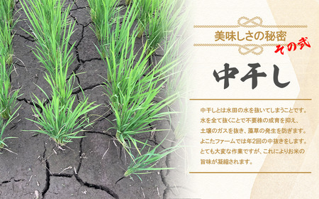 米 にじのきらめき 令和7年産 にじのきらめき 精米 10kg