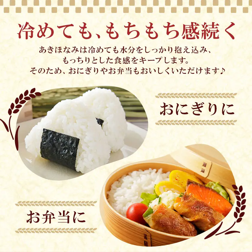 お米 無洗米 あきほなみ 5kg×2袋 有限会社 谷口商店 《30日以内出荷予定(土日祝除く)》