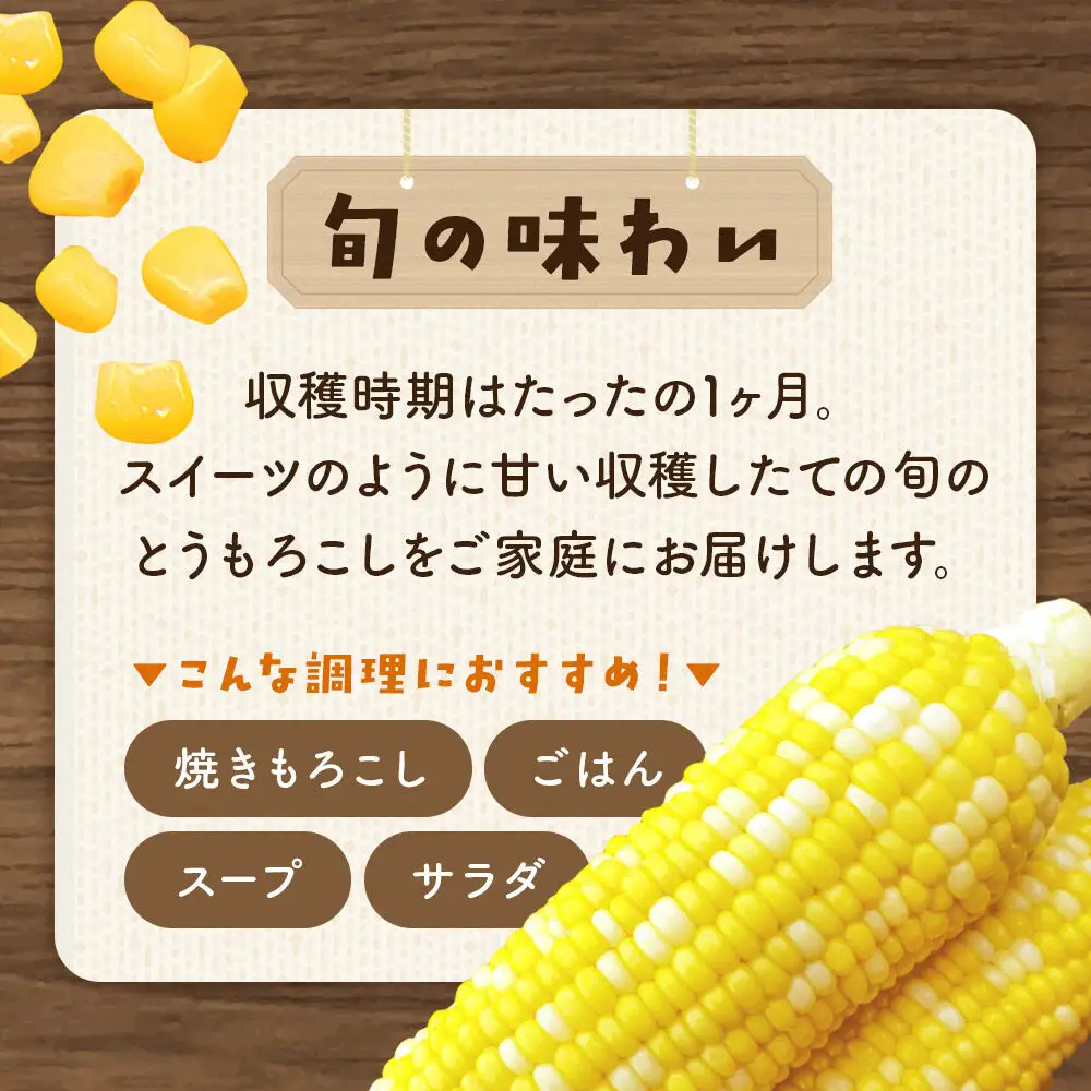 【26年10月中旬～発送】とうもろこし 嶽きみ真空パック Lサイズ 20本 しらかみラボ