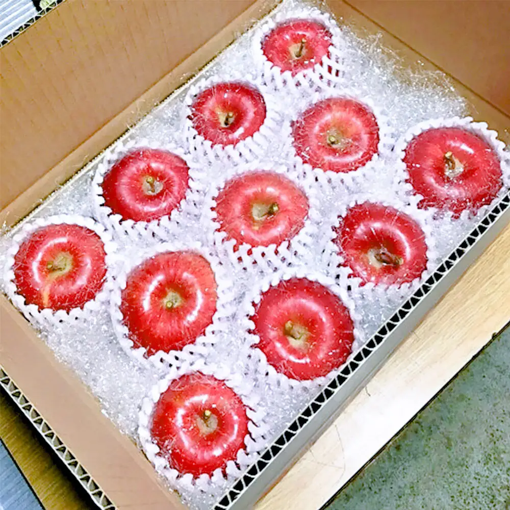 【26年12月中旬～発送】りんご サンふじ【贈答用】約5kg 先行受付 しらかみラボ 青森県 弘前市 果物 フルーツ 林檎 リンゴ くだもの ギフト 贈り物