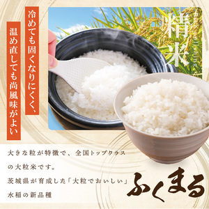 ★茨城県オリジナル品種★R7年産 ふくまる 白米30kg|お米 米 ふくまる 白米 茨城県 取手市（BQ003）