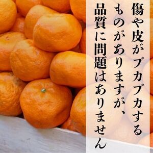 【訳あり】 愛媛みかん 3kg みかん
