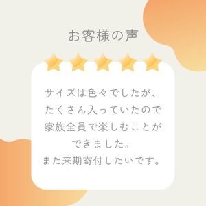 【先行予約】【発送期間：2026年10月下旬～なくなり次第終了】【贈答用】愛媛みかん 1.8kg みかん