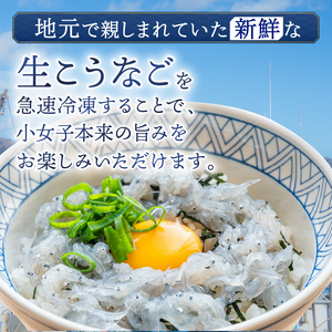 小女子 こうなご 刺身 500g ＼ 刺身 ／