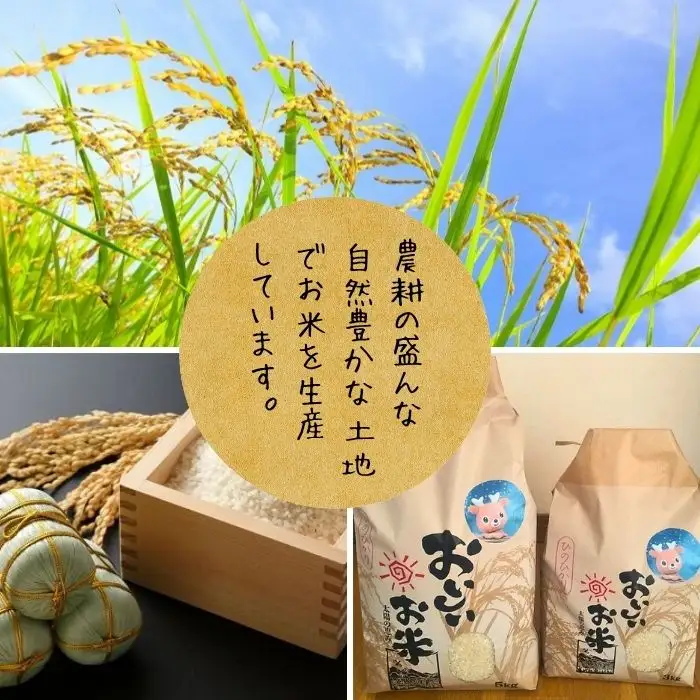 米 ヒノヒカリ 5㎏(令和7年産)　白米【18-047】