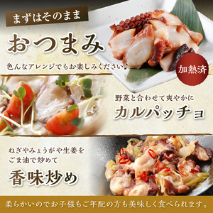 柳だこの燻製（塩味）セット【足180g×2・スライス150g】_I021-0650