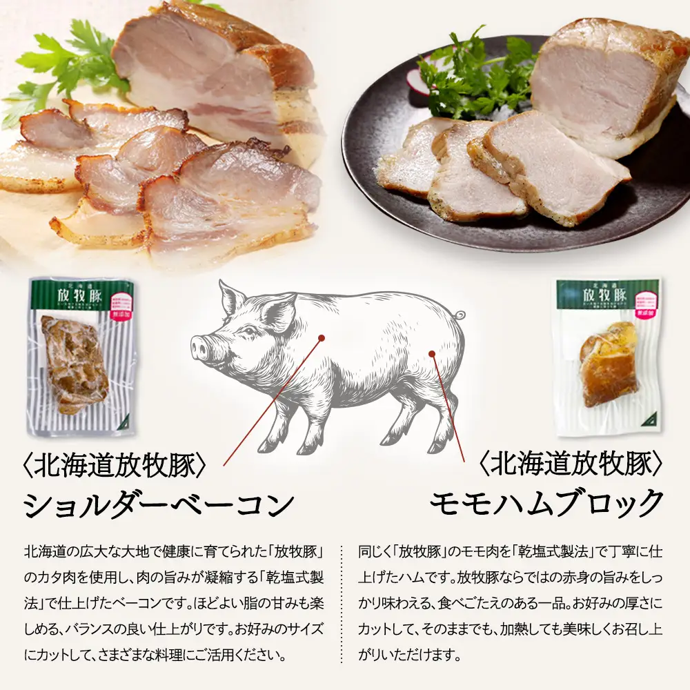 「北海道放牧豚ショルダーベーコンとモモハムブロック」とトモヱベーグル「北の麦輪」10個セット【C9903101】
