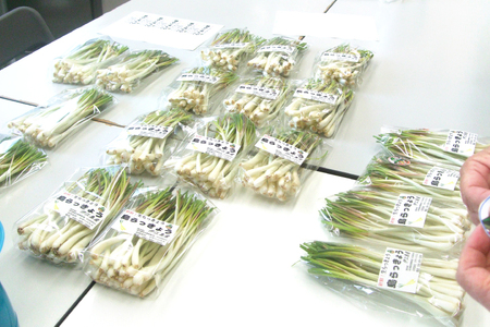 【期間限定発送】 島らっきょう 生 皮むき 250g 2袋 計 500g