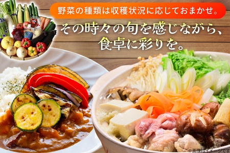 AJ314 季節の野菜・果物セット 8～10品 しそジュース付き