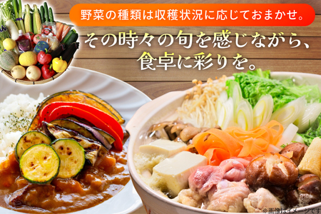AJ315 季節の野菜・果物セット 13～15品 しそジュース付き