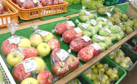 訳あり りんご 約 2.5kg ～約 3kg　( 品種おまかせ/ 予約受付11月発送開始）季節のりんご 旬のりんご 黒岩産直 岩手県 北上市 C0605R0808