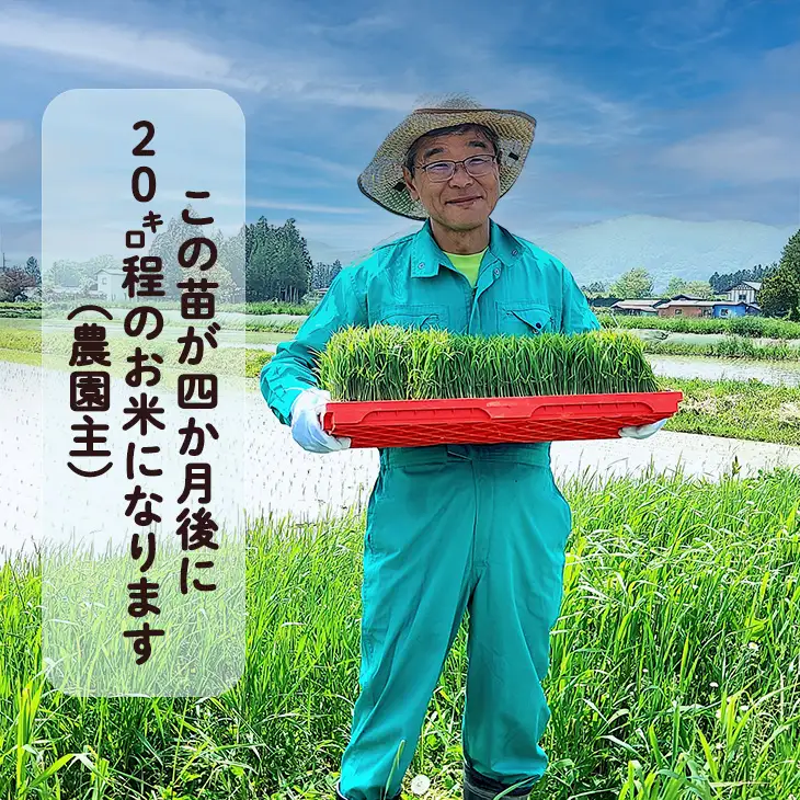 【数量限定】【厳選プレミアム極】新米 白米 銀河のしずく米 10kg 【2320】