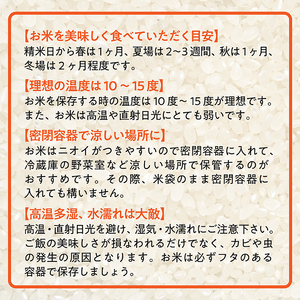 【令和7年産】【無洗米】山形県産雪若丸10kg