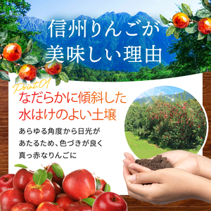 【先行受付】信州産りんご【品種おまかせ】約3kg (8～12玉)　【秋映・シナノスイート・シナノゴールド・名月・サンふじ・グラニースミス・あいかの香り】