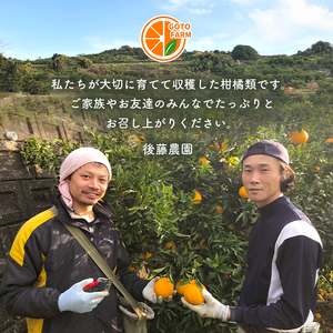 訳あり 紅甘夏 約 8kg | 甘夏