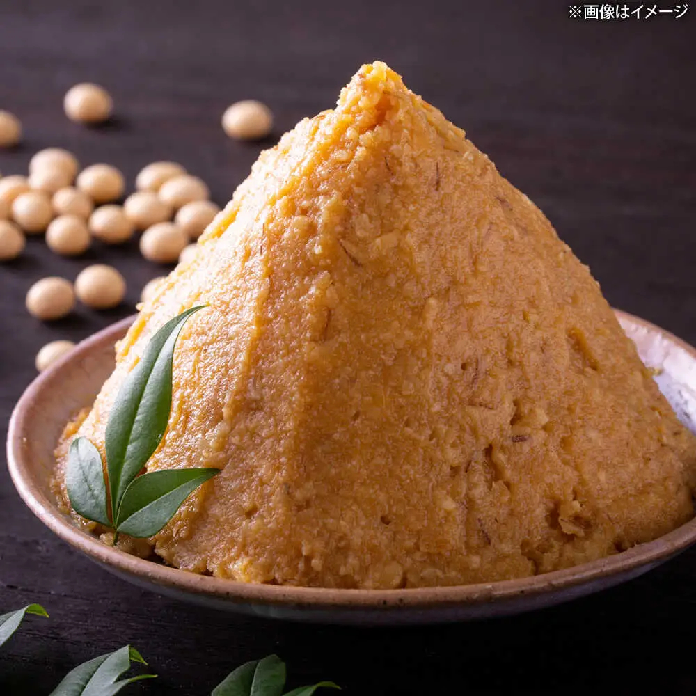 博多もつ鍋ながまさ もつ鍋 味噌味（605g×2セット）[VEQ002] もつ鍋 博多 ながまさ 福岡