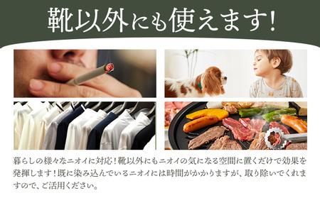 インソール 消臭 漆Ｉder A 桃 あらい有限会社《30日以内に発送予定(土日祝除く)》 靴 消臭 漆 長持ち インソール 
