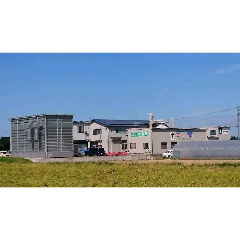 【令和8年産】使いきりパック  富山県産こしひかり 　育（はぐくみ）  白米300ｇ（2合）5個セット《南砺の逸品》