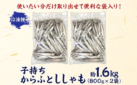 【ふるなびWEEK対象】子持ちからふとししゃも 約1.6kg(800g×2) 樺太 魚シシャモ メス おつまみ 魚貝類 干物 量販店 居酒屋 馴染み 人気 卵 詰まった 塩 味付け
