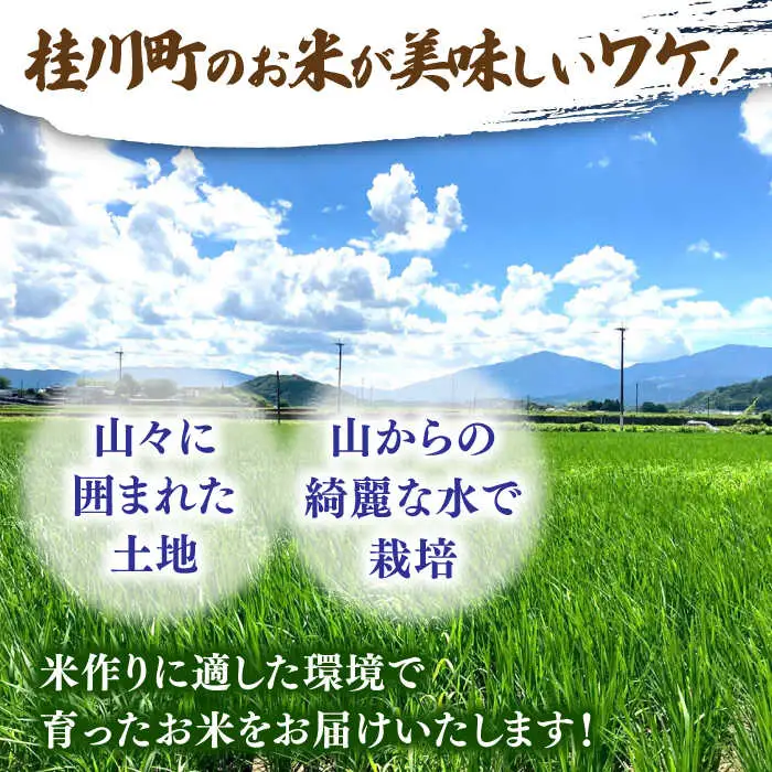 福岡県桂川町産夢つくし 白米5kg [ADBB006] 米 精米 福岡