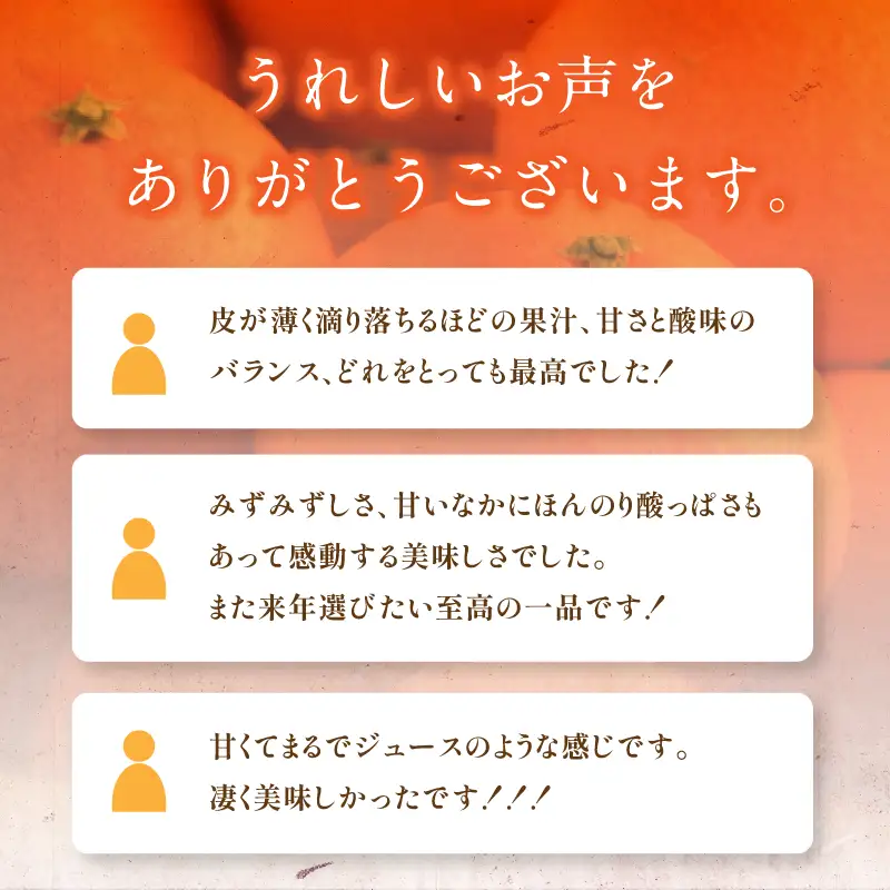 【先行予約】マルハ果樹園 プレミアムまどんな（家庭用）2L～M 12～16玉