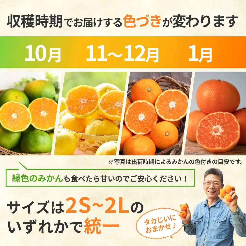 タカじいの 有田 みかん 5kg （良品 サイズおまかせ2S～2L） / 温州みかん 有田みかん 甘い 家庭用 和歌山 柑橘 ※11月順次発送【krs004-c-5-11C】