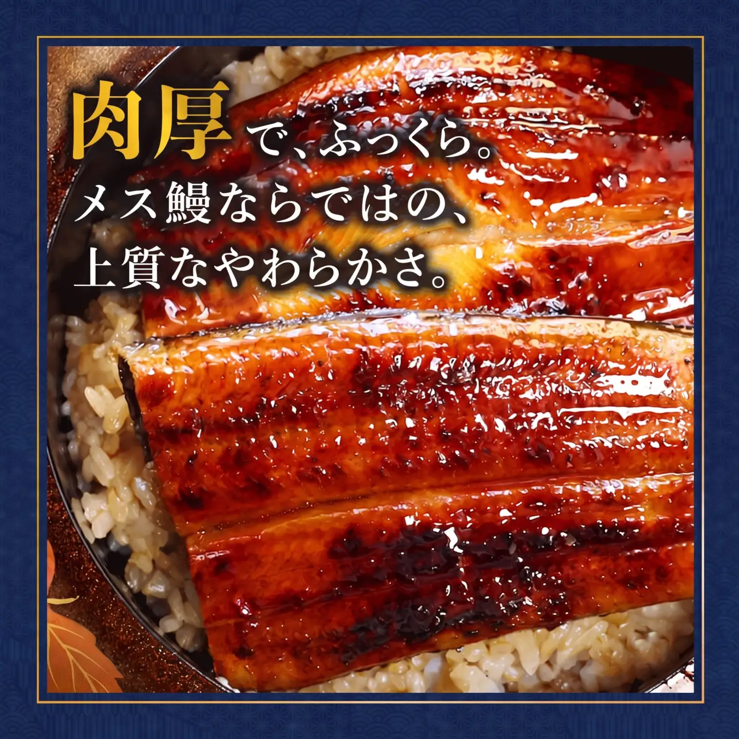 浜名湖ブランド「でしこ」うなぎ蒲焼 3尾