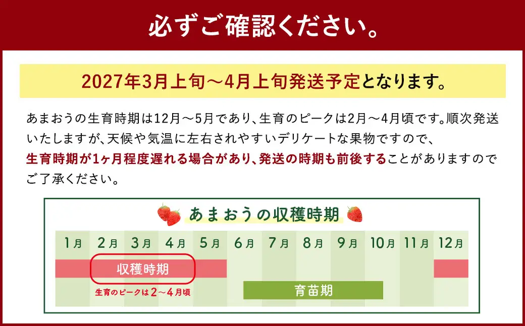 いちごの王様 あまおう 約260g×4パック 約1040g【2027年3月上旬-4月上旬発送予定】 いちご イチゴ 苺 フルーツ