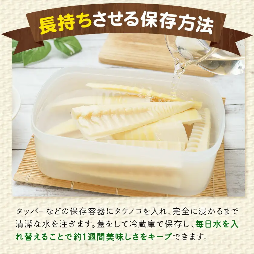 【先行受付】やさい畑の朝堀りたけのこ 2.5kg予約 《3月中旬-4月中旬頃出荷》 熊本県 南関町産 春 筍