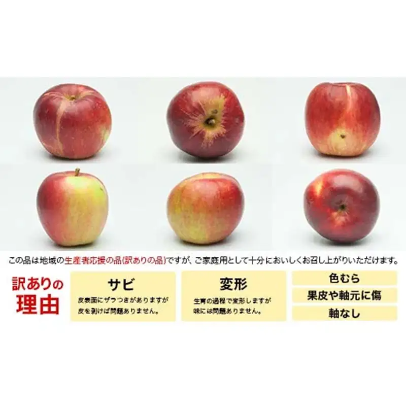 FYN6-597 ご家庭用 山形県産 品種おまかせ りんご 赤色系 約3kg 2026年10月中旬から順次発送 果物 くだもの フルーツ 林檎 リンゴ アップル 秋果実 生産者支援 農業者支援 支援品 自宅用 家庭用 訳アリ ワケアリ 山形県 西川町 月山