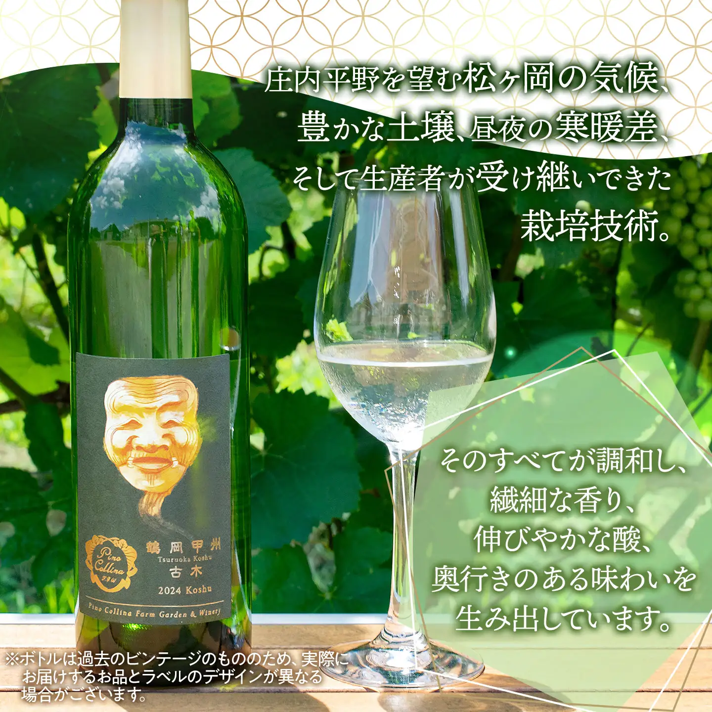 白ワイン　鶴岡甲州　古木／2025　750ml×1本　株式会社エルサン 国産 日本ワイン 