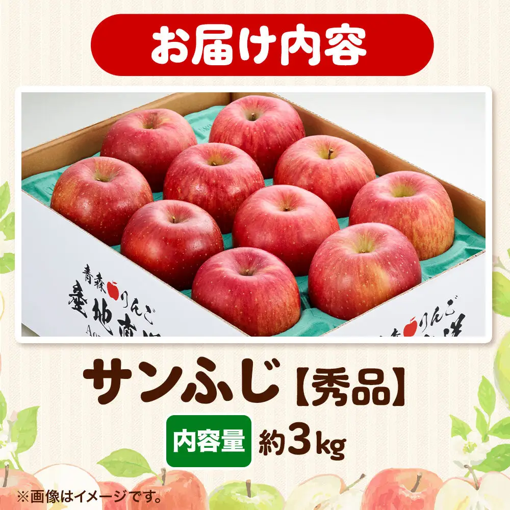 りんご サンふじ 約3kg【秀品】りんご