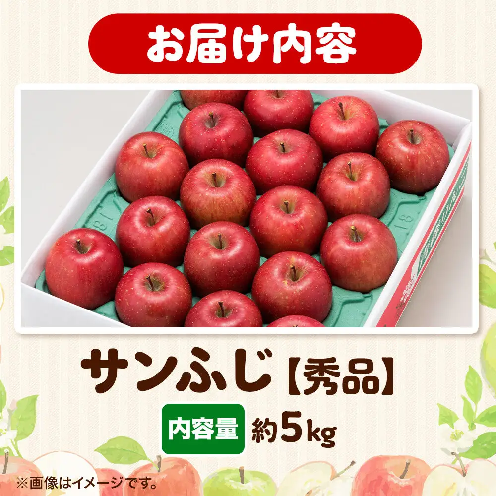 りんご サンふじ 約5kg【秀品】りんご 青森県 フルーツ 果物