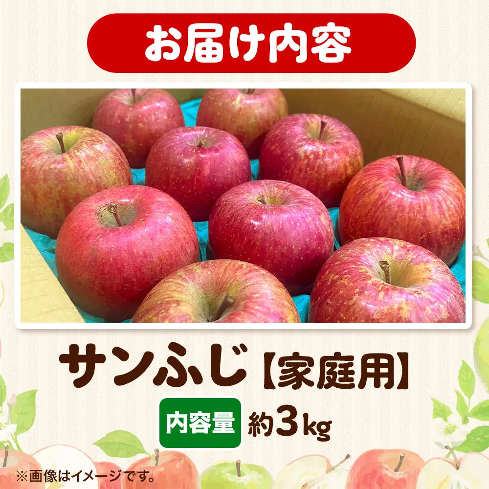 りんご サンふじ 約3kg 【家庭用】りんご