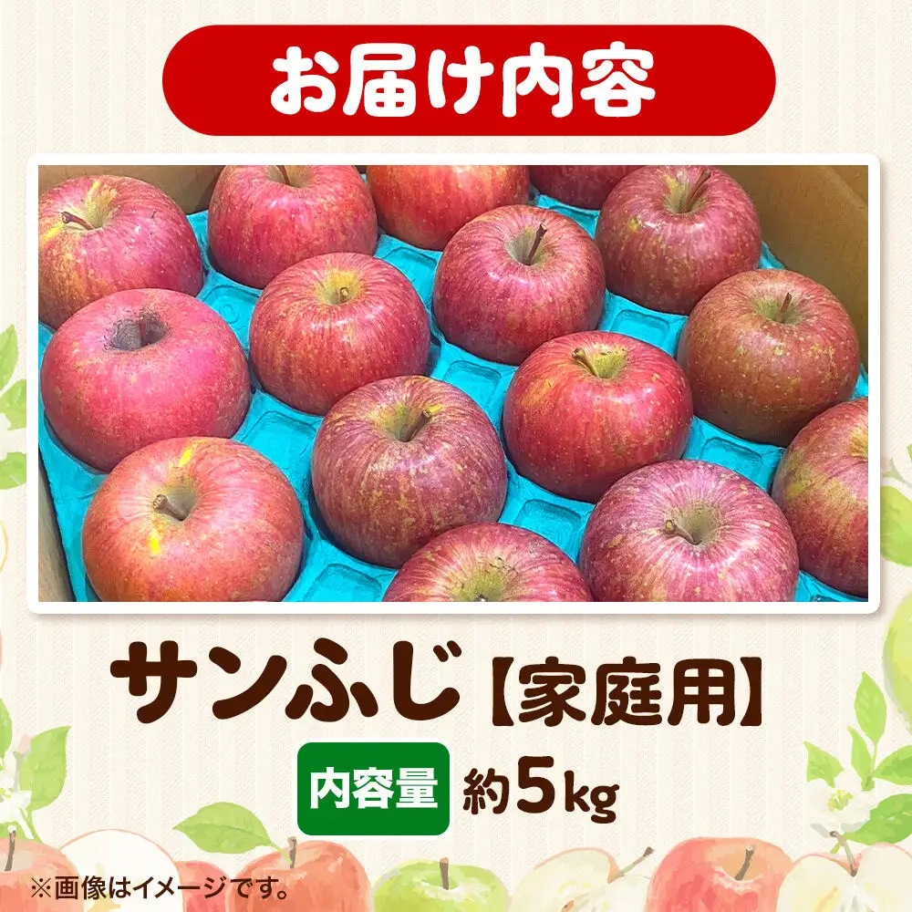 りんご  サンふじ 約5kg【家庭用】 りんご