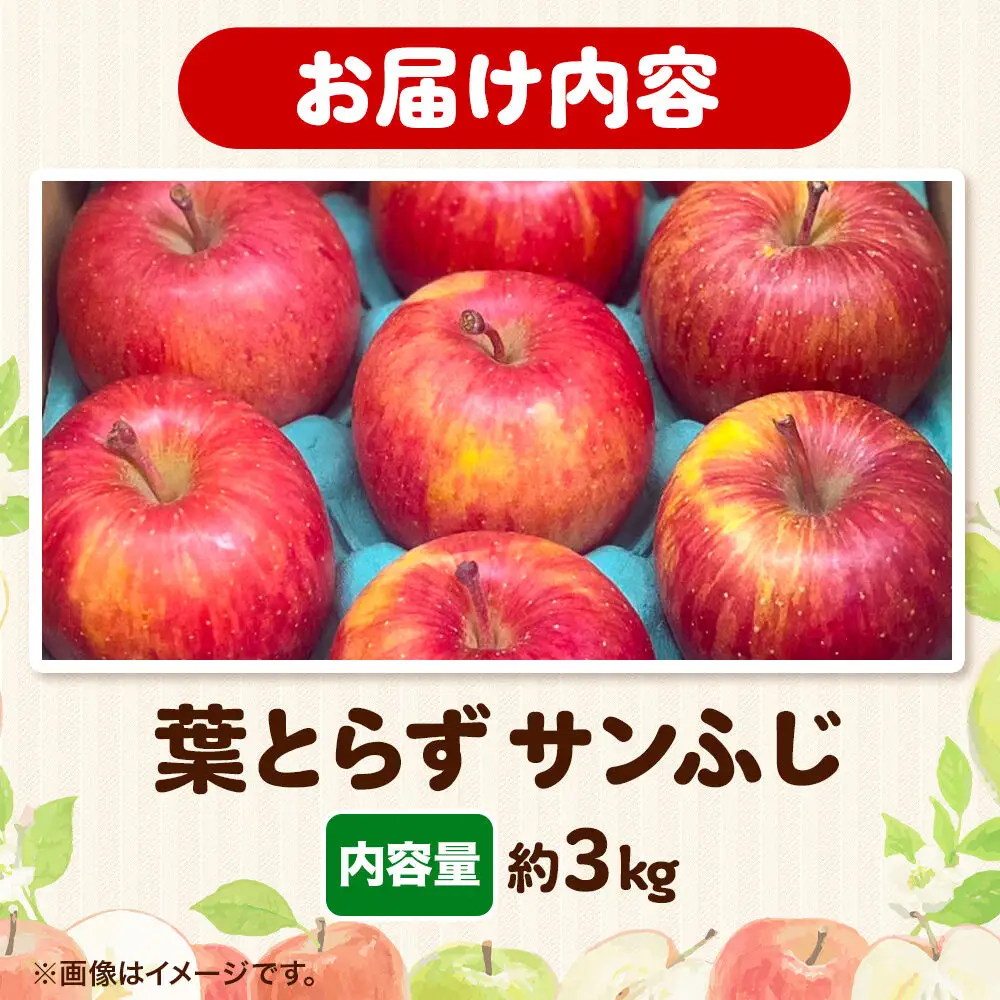 りんご 葉とらず サンふじ 約3kg りんご