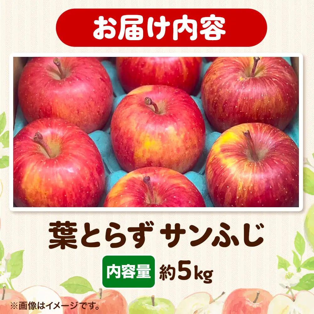 りんご 葉とらず サンふじ 約5kg【家庭用】りんご