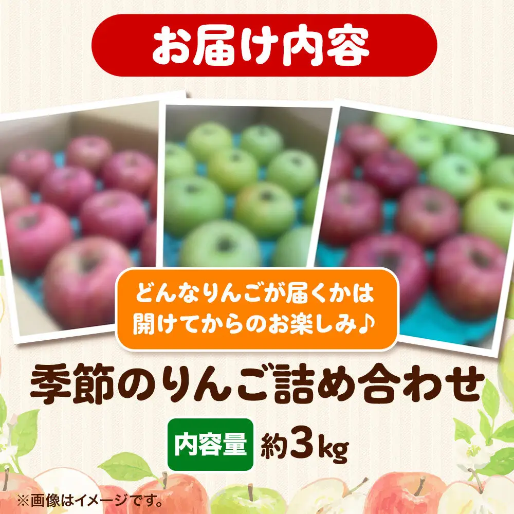 りんご 季節のおすすめBOX 家庭用 約3kg 9月発送 りんご