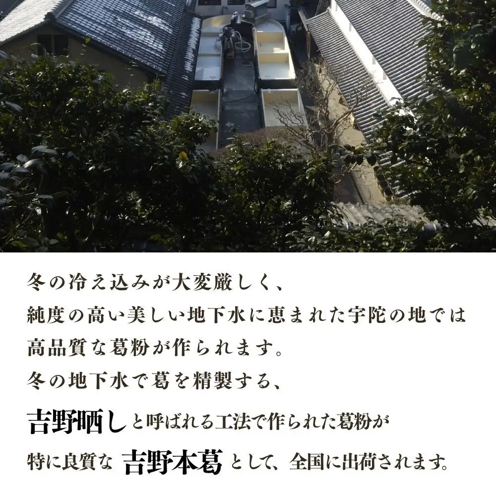 【ふるなびWEEK対象】吉野本葛 180g×3本 化粧箱入 ／ 吉野葛 本葛 国産 老舗 葛粉 葛湯 葛餅 葛切り 無添加 お取り寄せ 贈答 ギフト 森野吉野葛本舗 奈良県 宇陀市 ふるさと納税