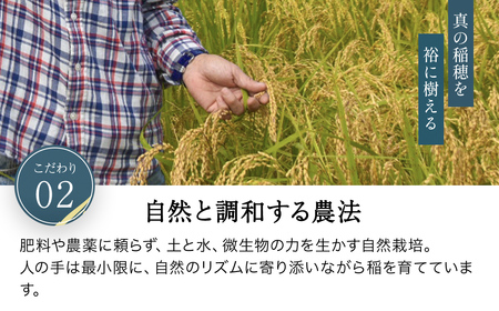 令和8年産先行予約 やくの自然栽培米 コシヒカリ 精米 5kg ゆたか（ゆたか自然農園）