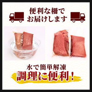 【 まぐろ 】 キハダマグロ 赤身 500g 